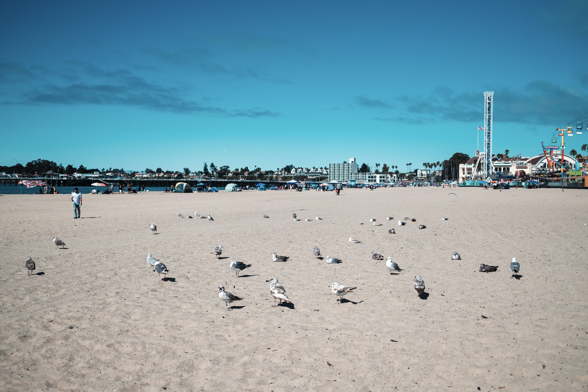 WestCoast-72.jpg