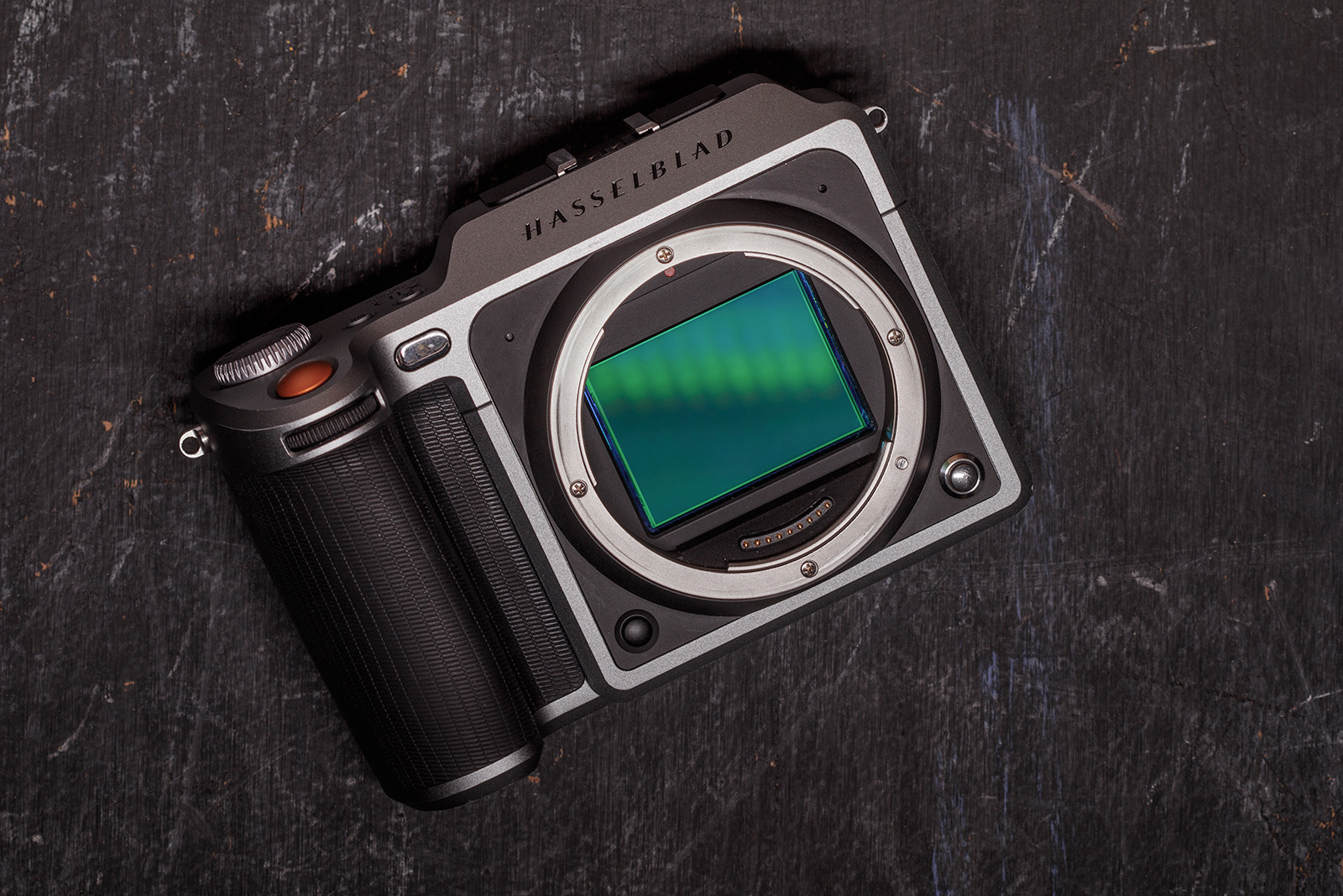 HasselbladX1d-04.jpeg