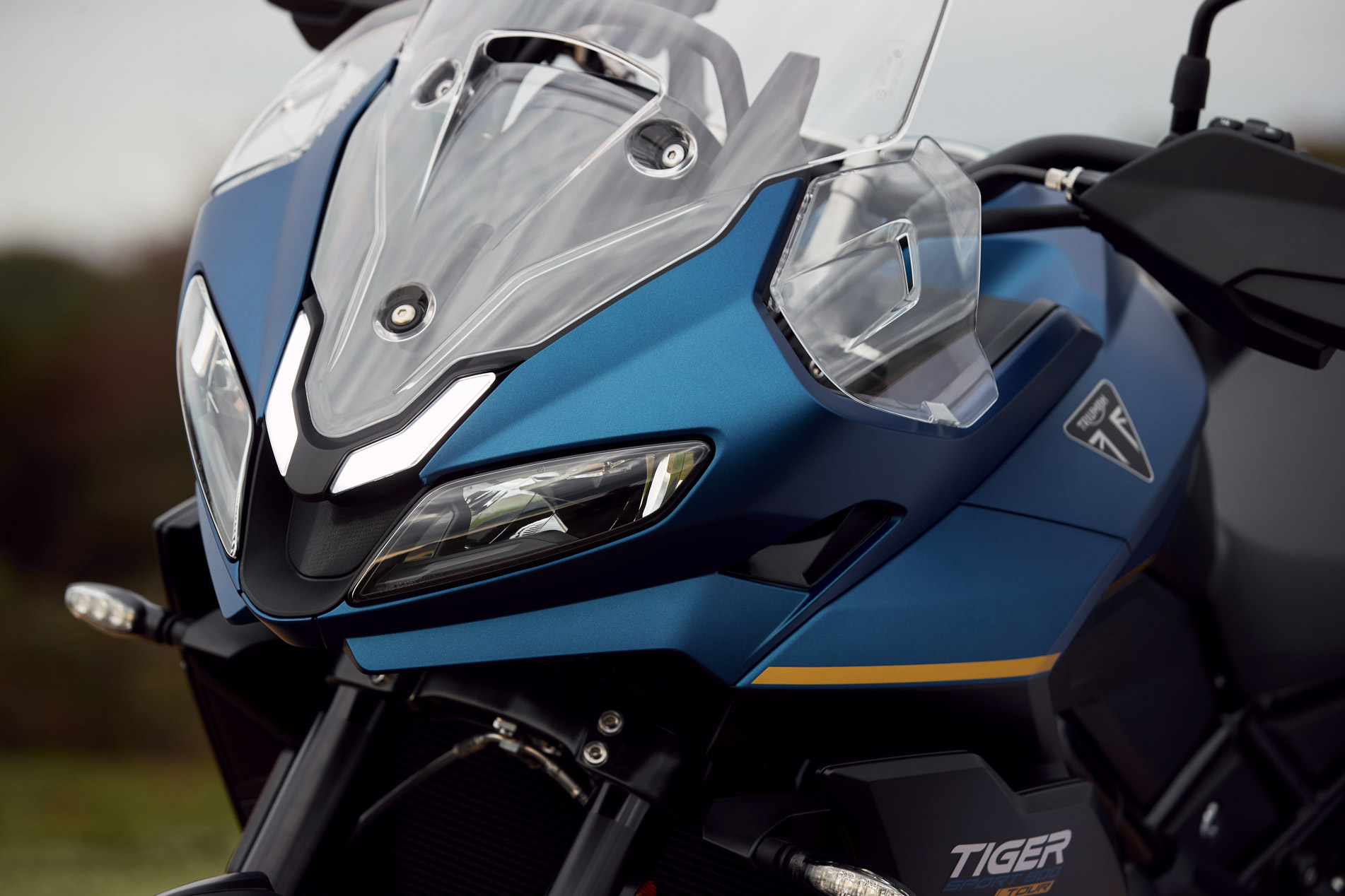 tiger-800-29.jpg