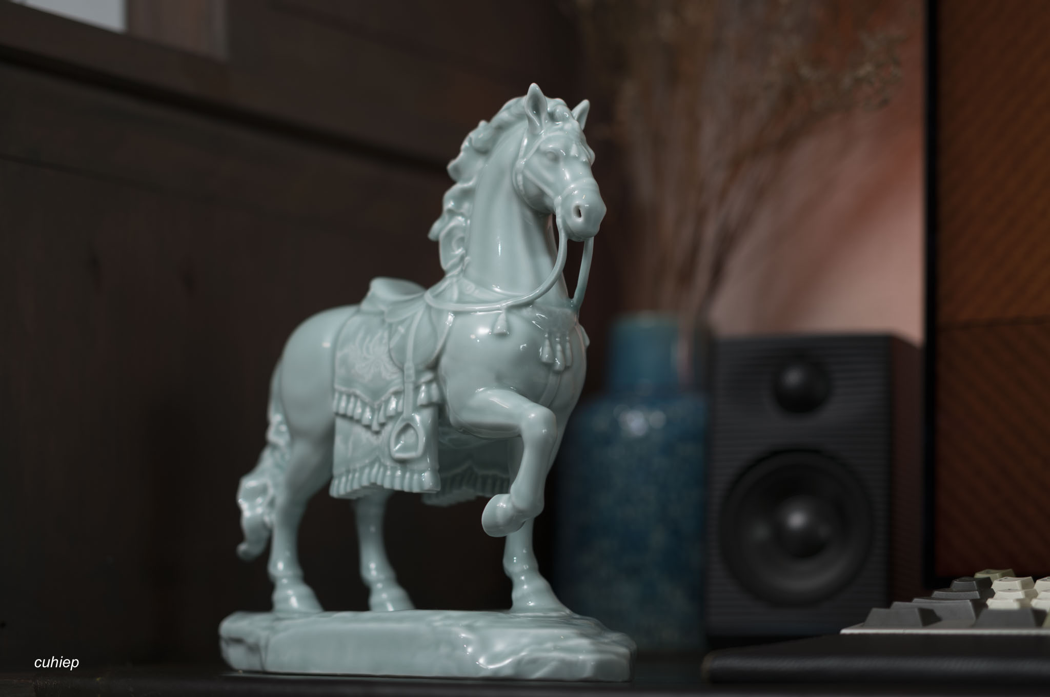 Minh-Long-tuong-bao-ma-02.jpg