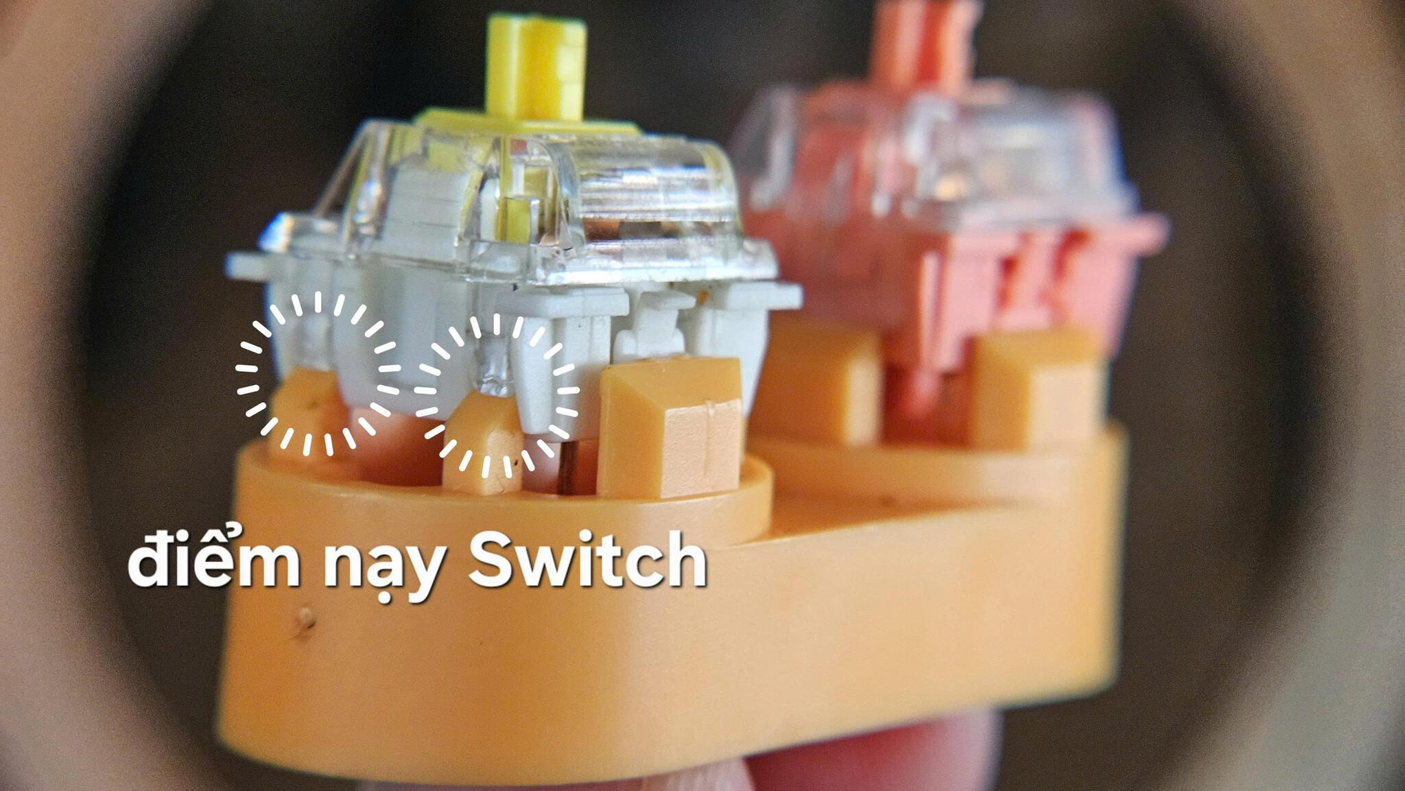 switch-ban-phim-co (35).jpg