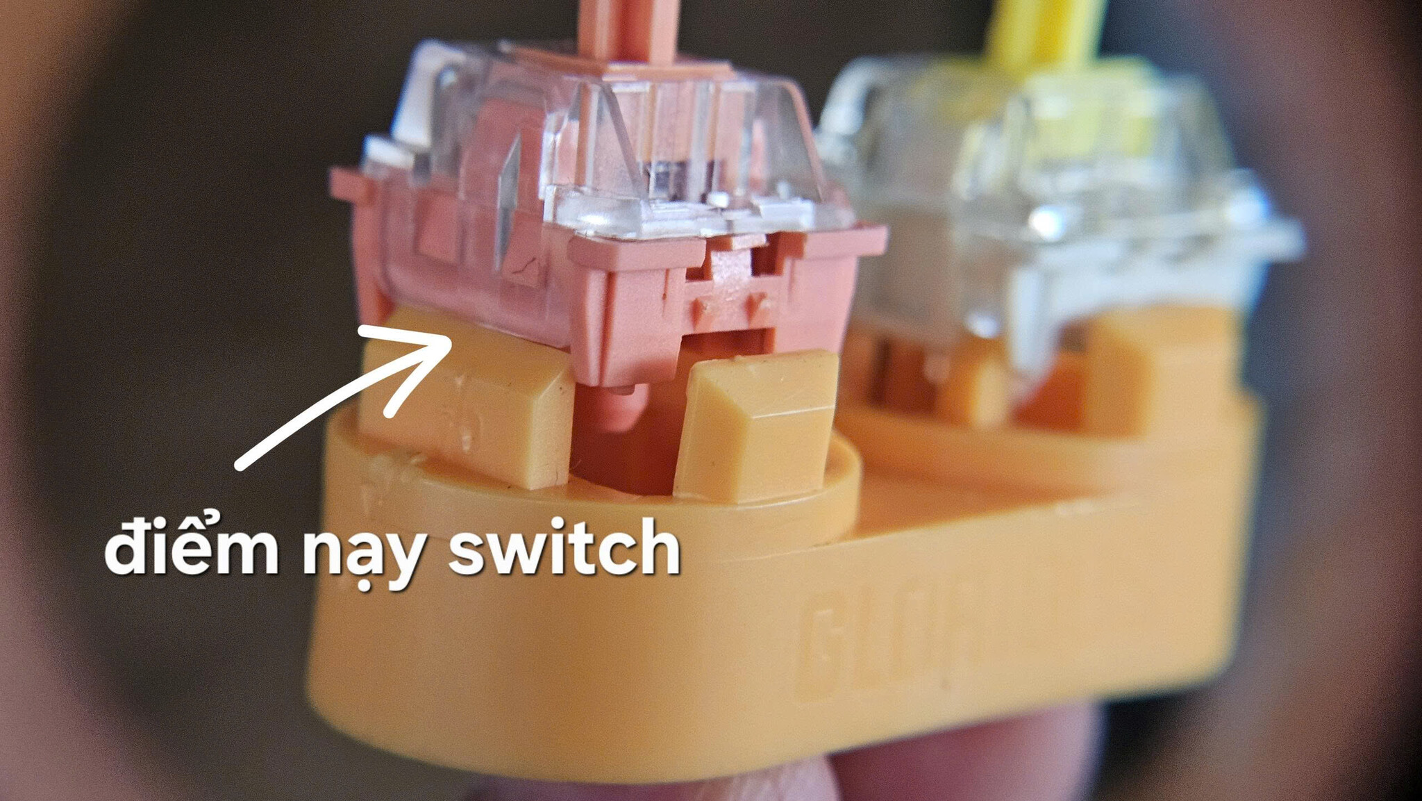 switch-ban-phim-co (37).jpg