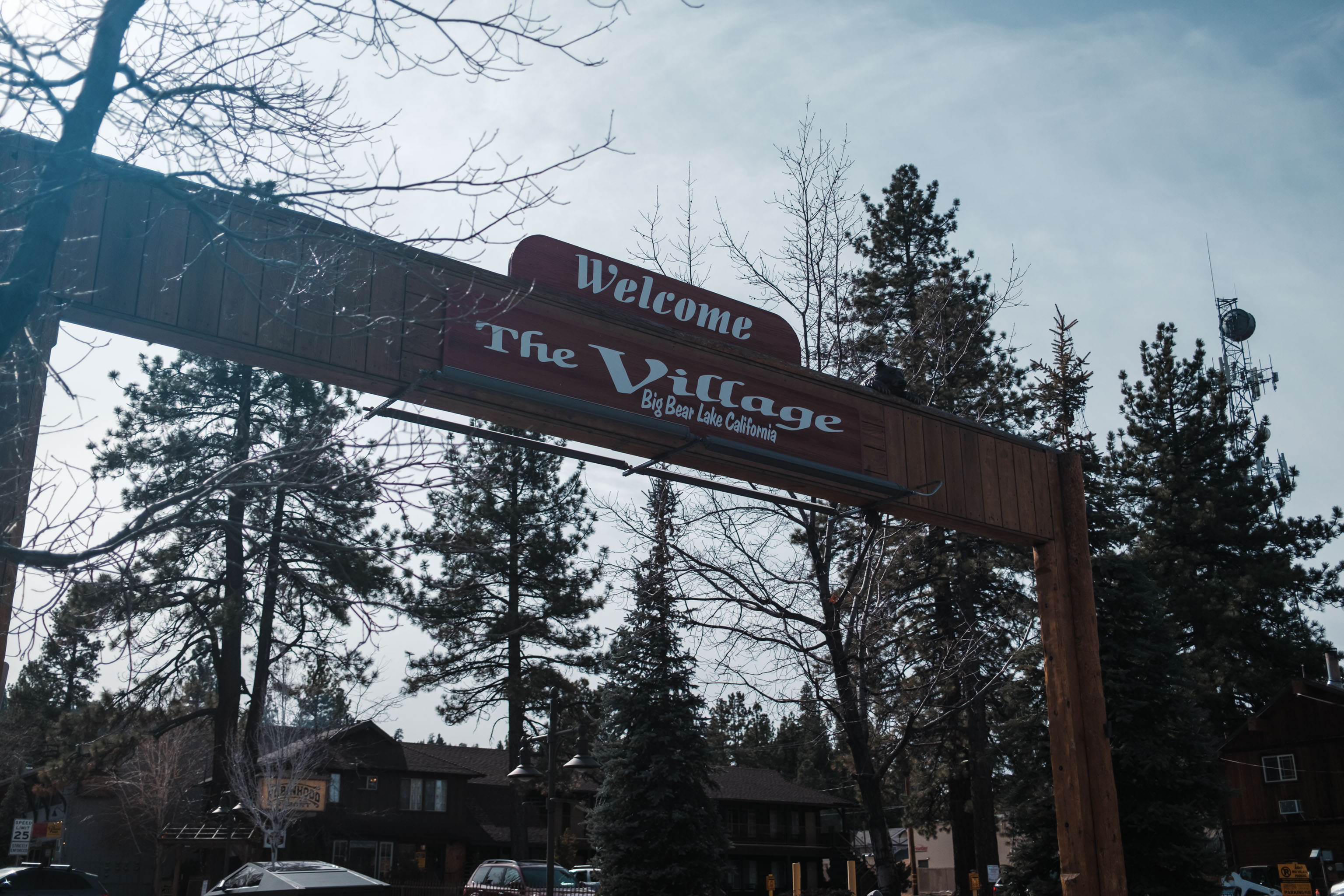 bigbear-jan25-26-21.jpg