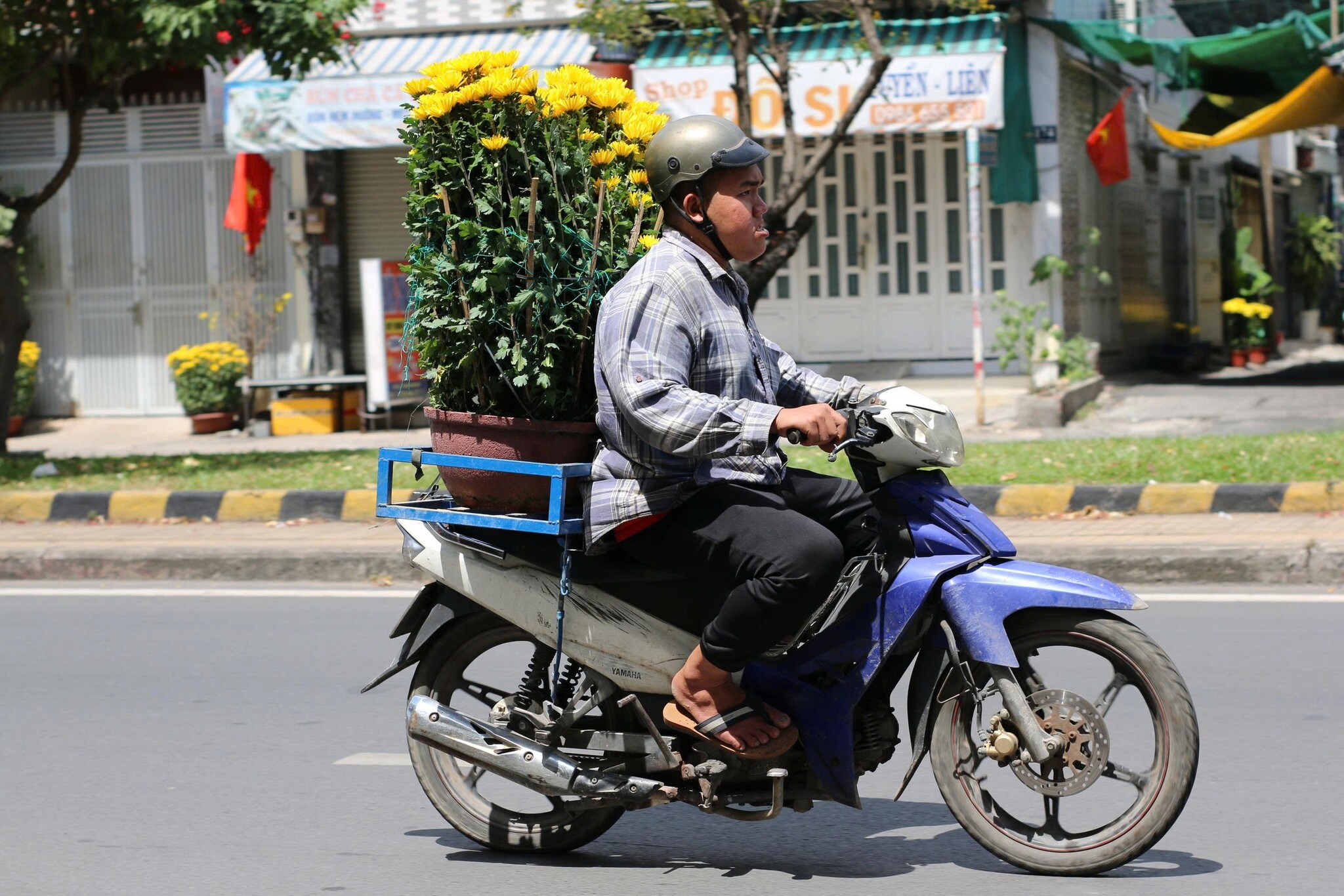 Những hình ảnh ngược xuôi ngày cuối năm (Tết Bính Ngọ)