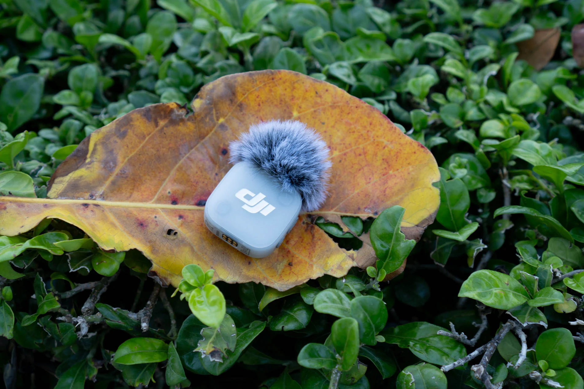 Vài ảnh về DJI Mic Mini 2