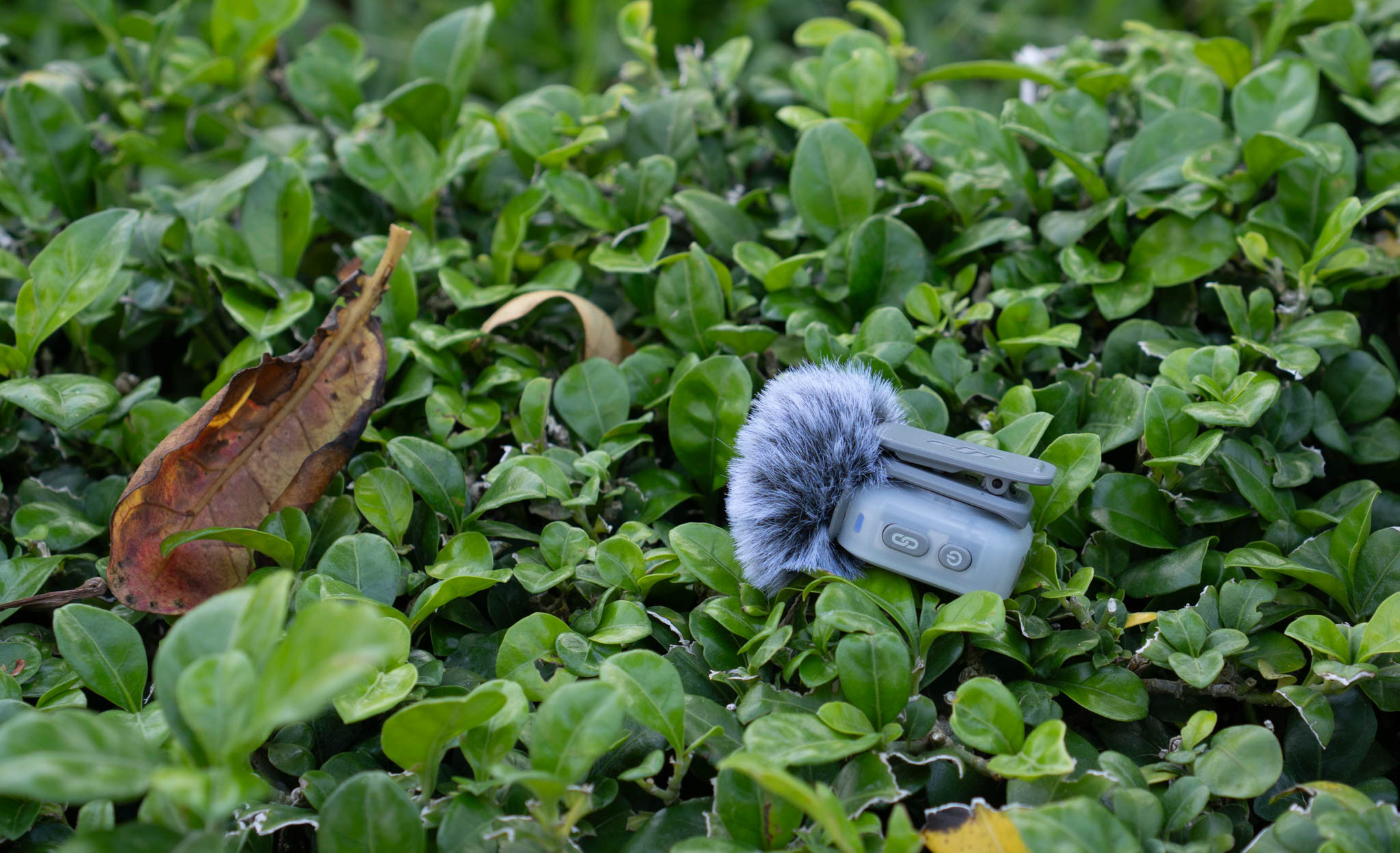 dji-mic-mini-2-5.jpg
