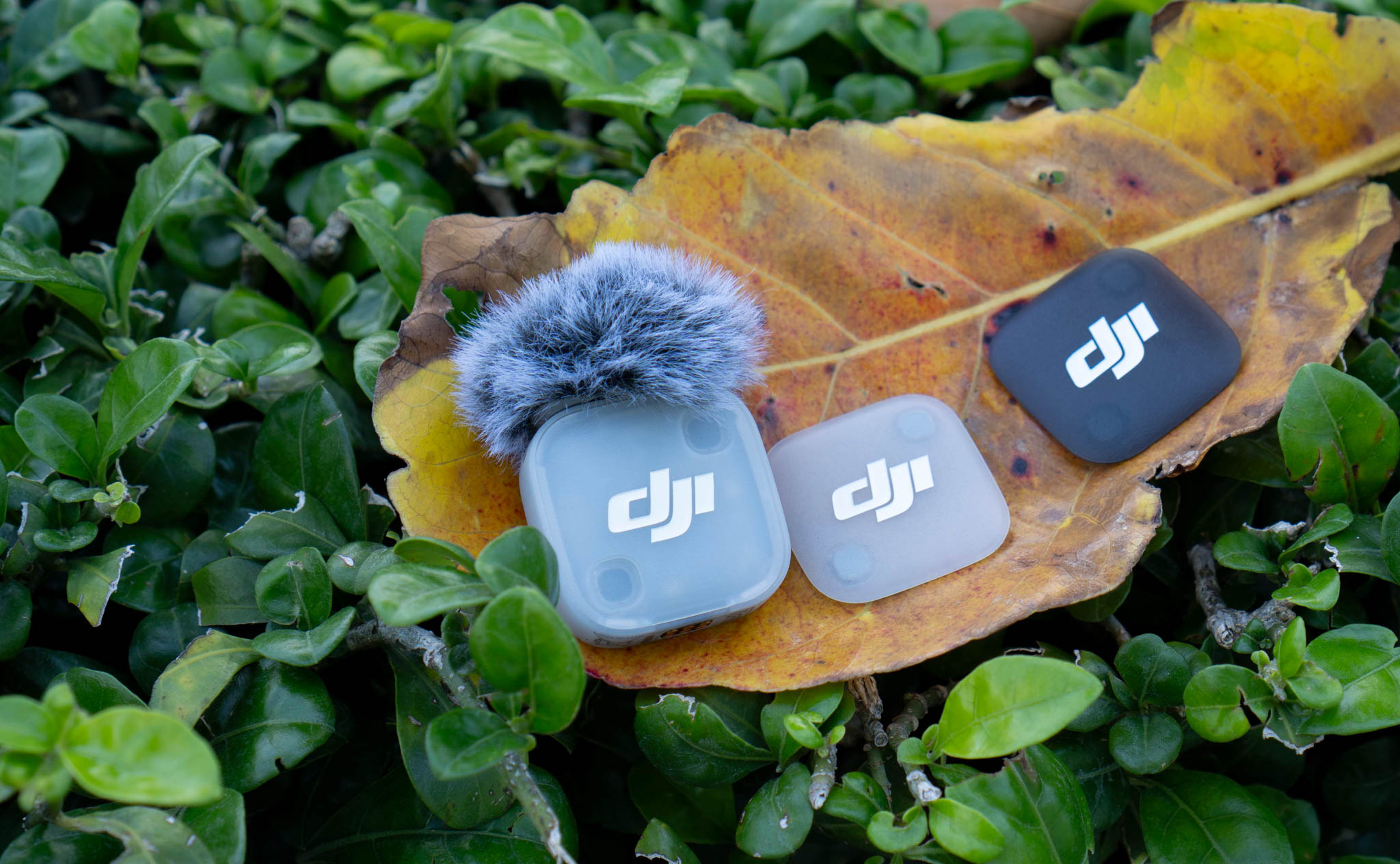 dji-mic-mini-2-8.jpg