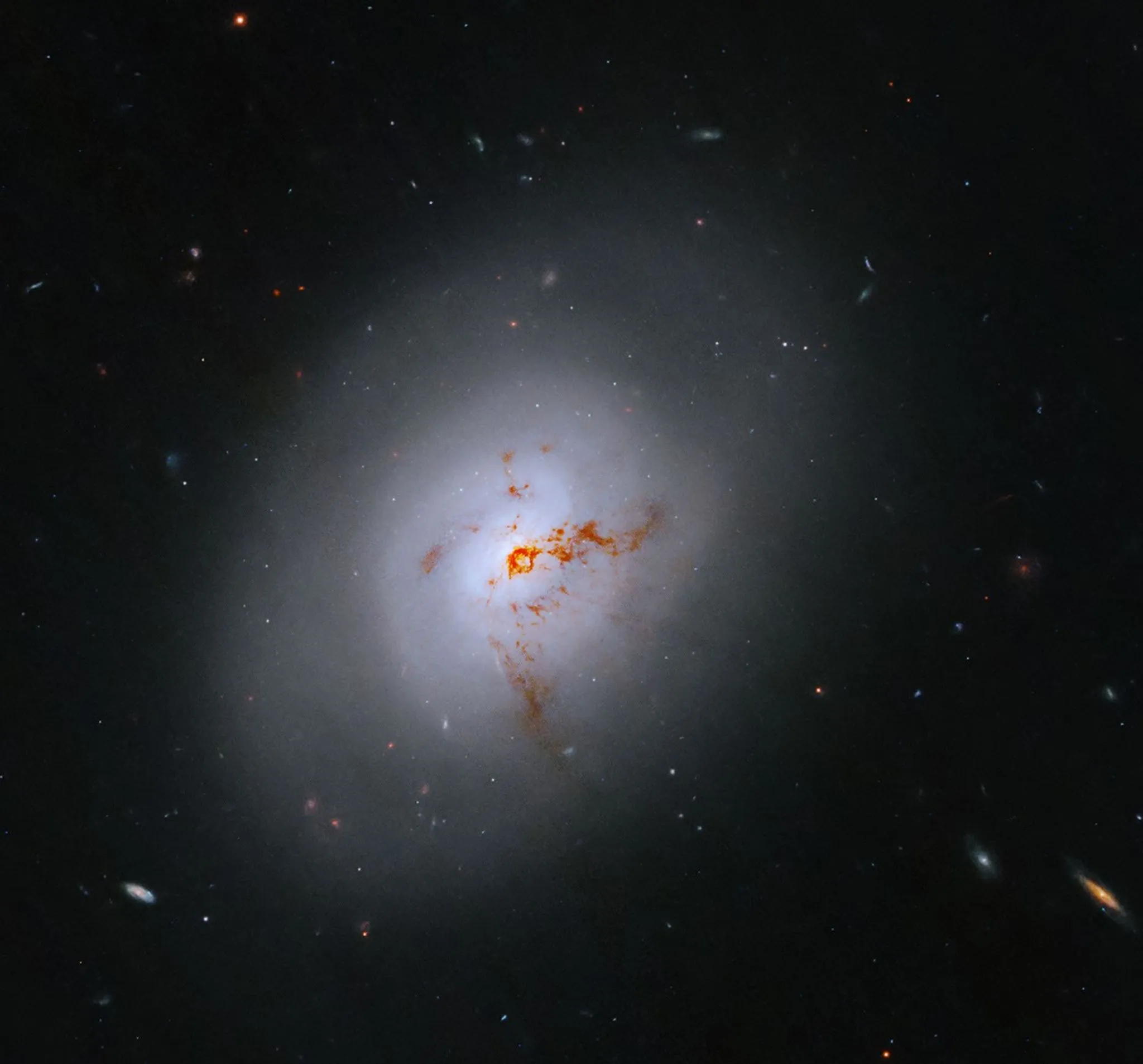 tinhte-ngc-1266.webp