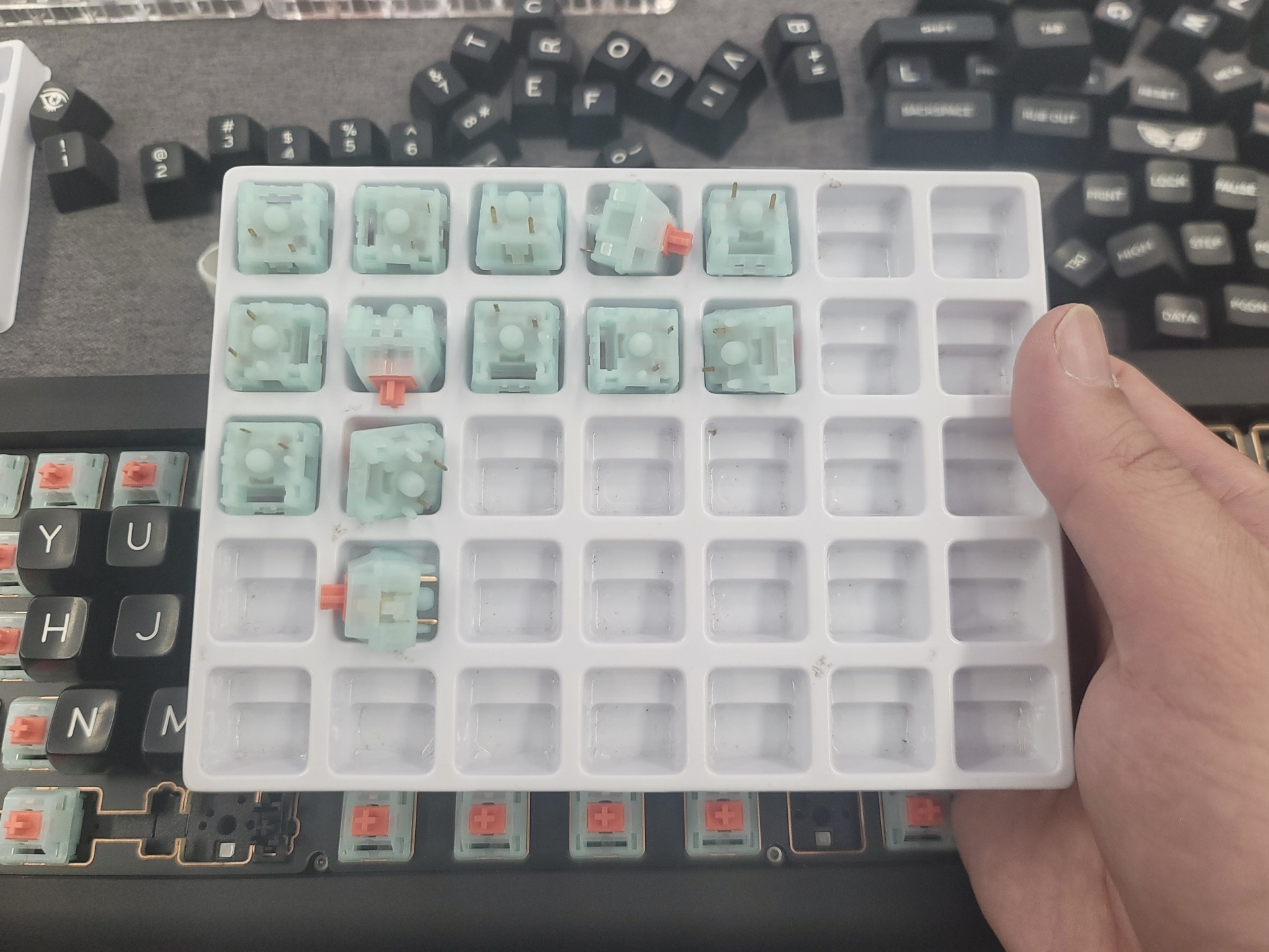 Test switch Coral Sea.jpg