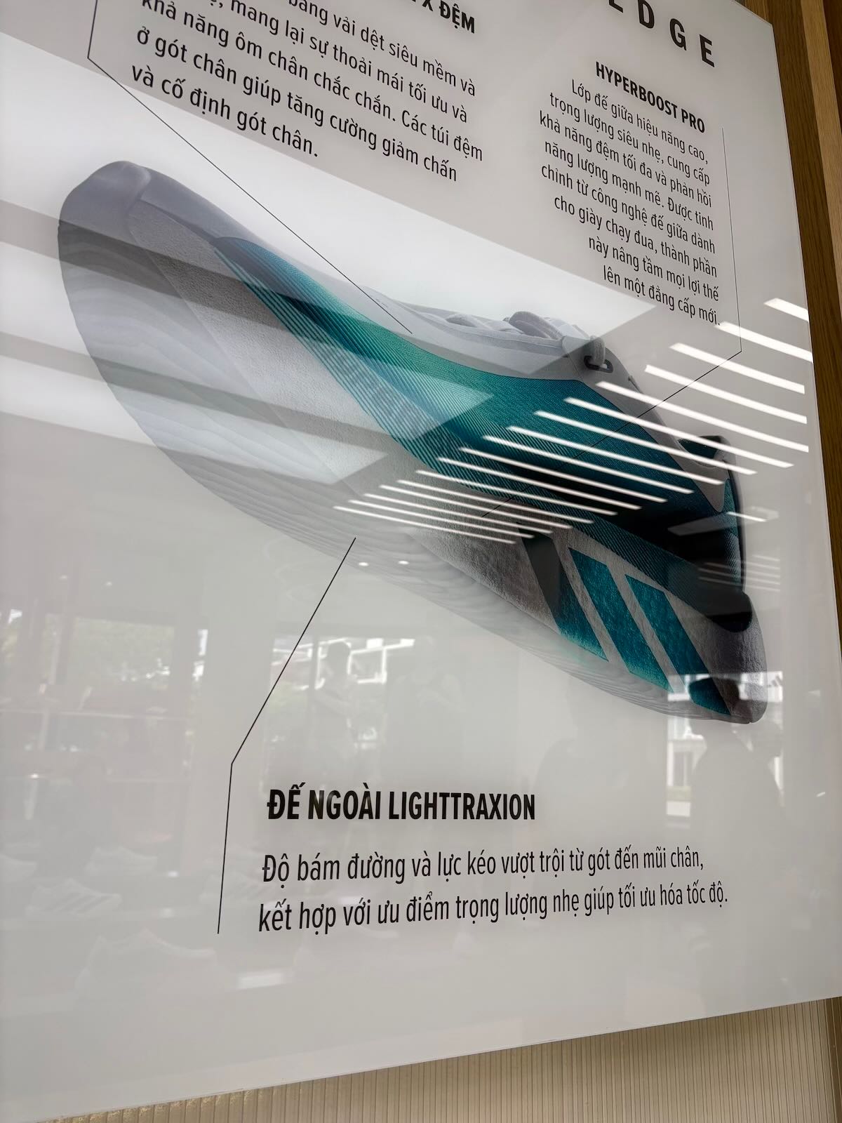 adidas-8.jpeg
