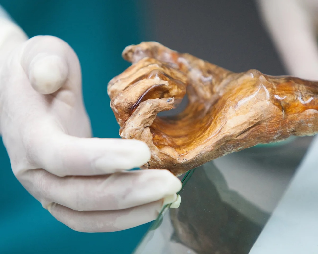 otzi-iceman-11.jpg