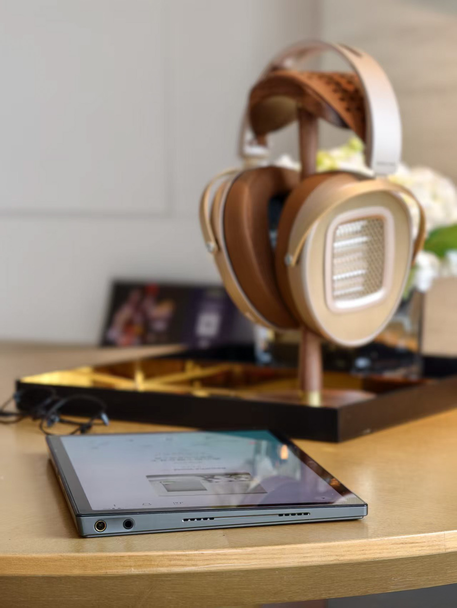 Hifiman (14).jpg