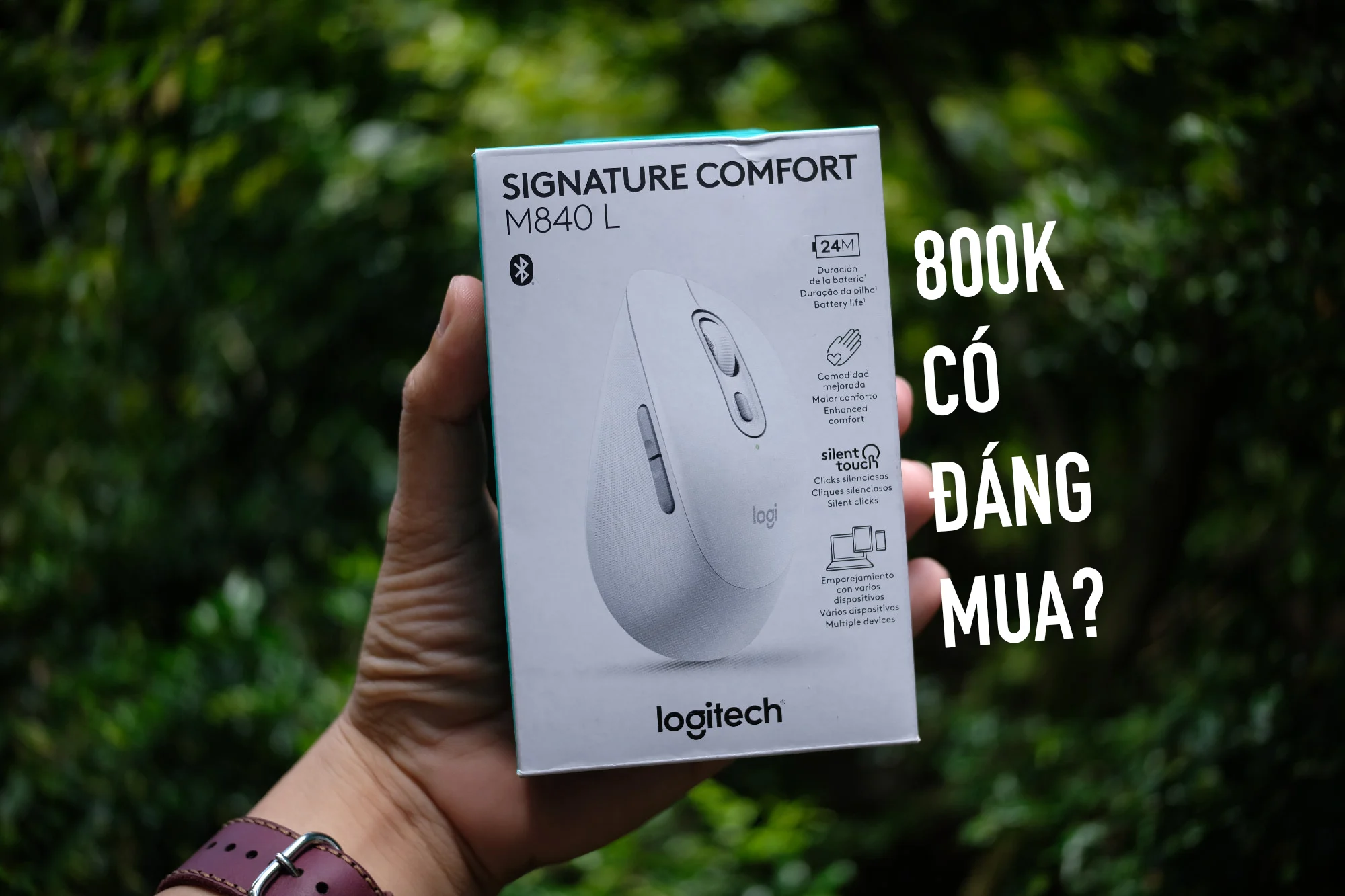 Đánh giá nhanh Logitech M840 L, chuột mới nhất thuộc dòng Signature Comfort dành cho dân văn phòng