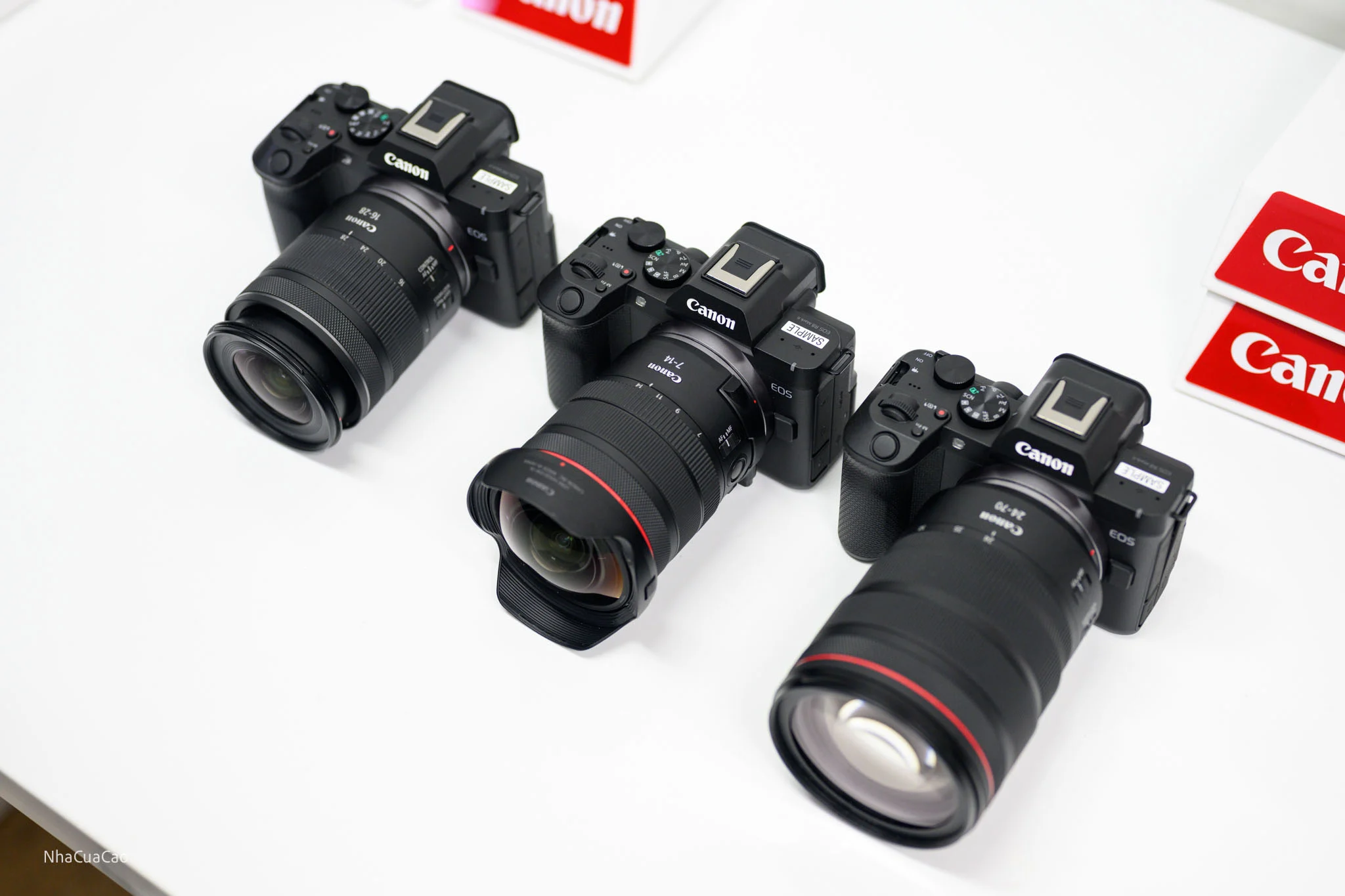 Canon ra mắt EOS R8 mark II: fullframe, 24MP, 4K60, có IBIS,...