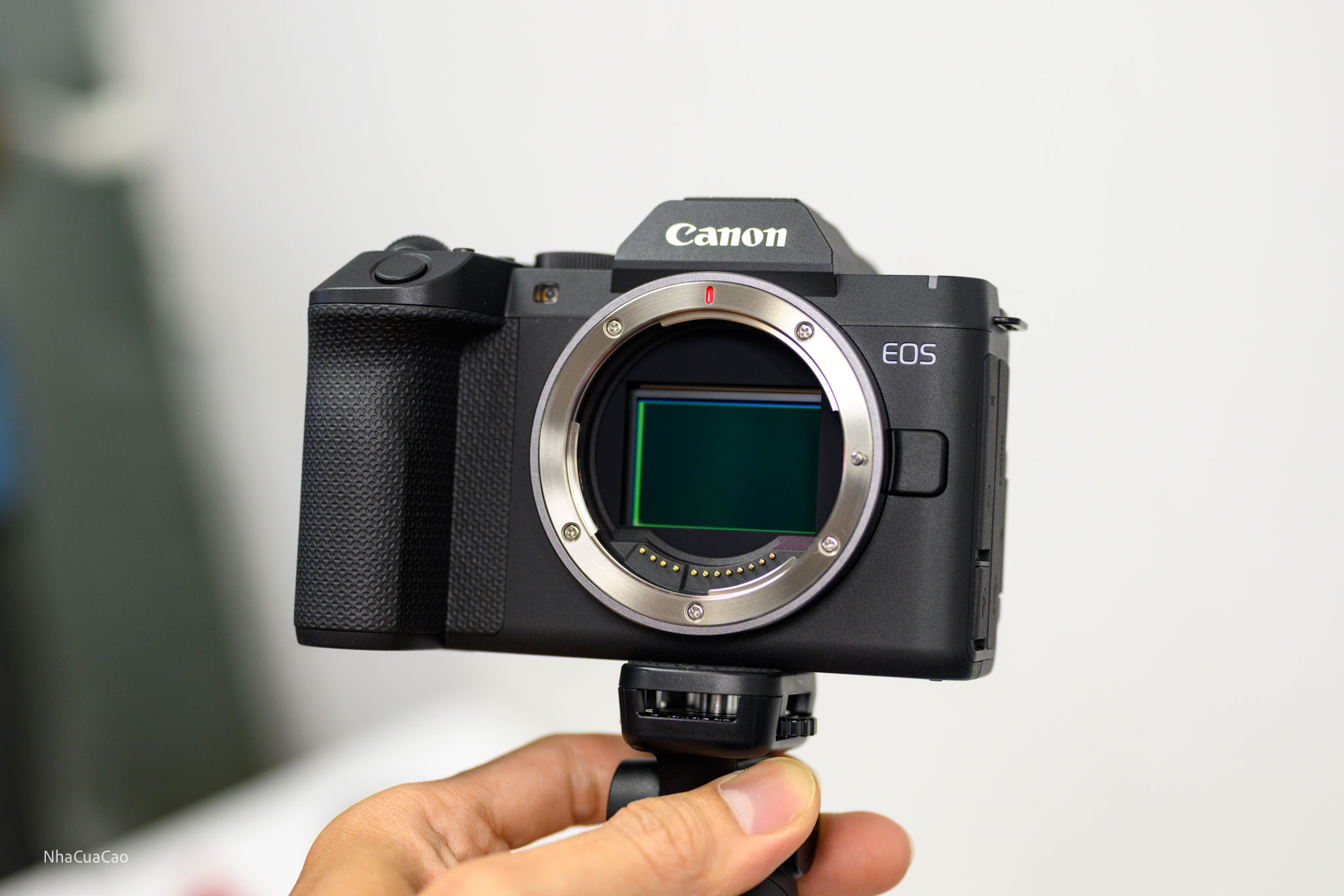 tinhte-khang-canon-r8-II-35.jpg