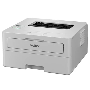 Brother-HL-B2100D-3.png