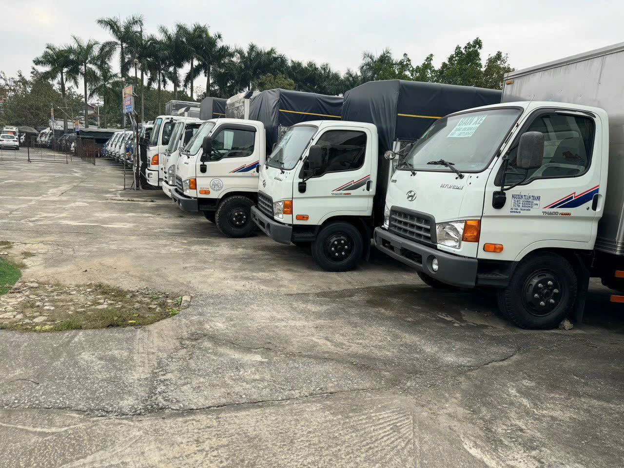 Kinh nghiệm "săn" xe tải cũ tại Hà Nội: Mẹo chọn xe ngon và bí quyết định giá không lo hớ
