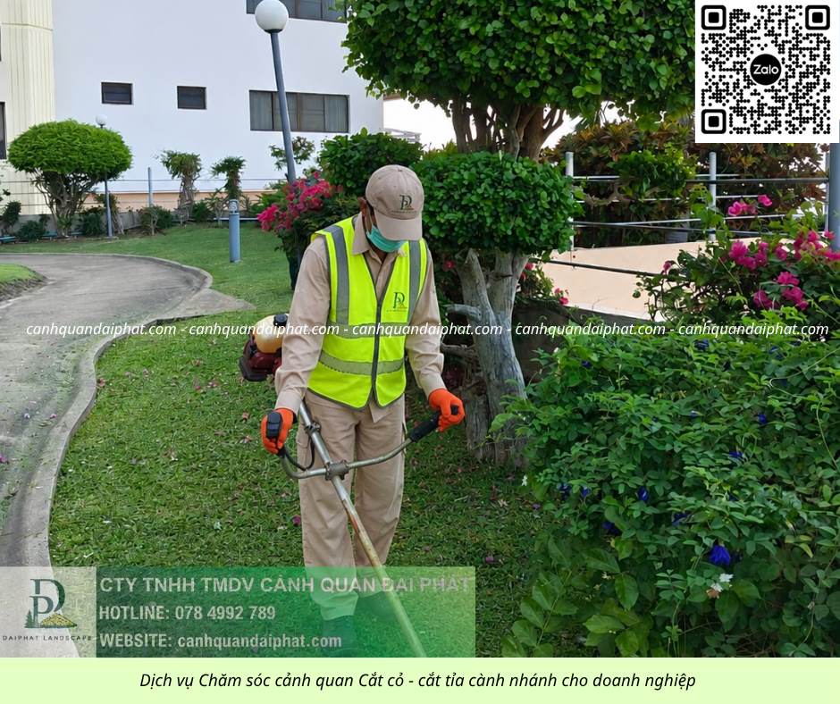 Cắt cỏ – cưa cây – cắt tỉa cây KCN Long Đức, Đồng Nai