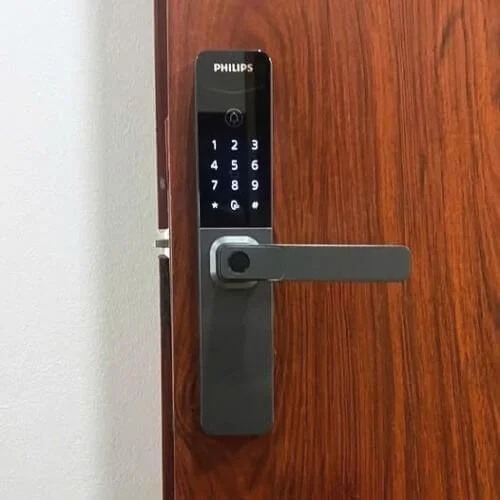 image.jpeg