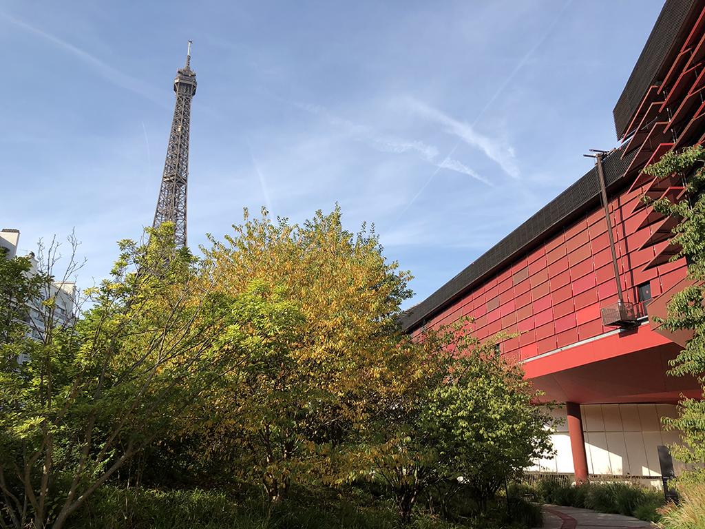 ip8Plus-IMG_0639.jpg