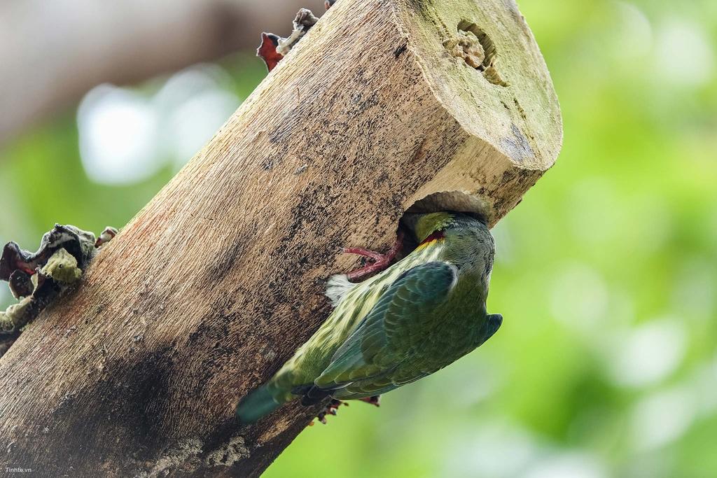 RX10M3-ChupchimTinhte1.jpg
