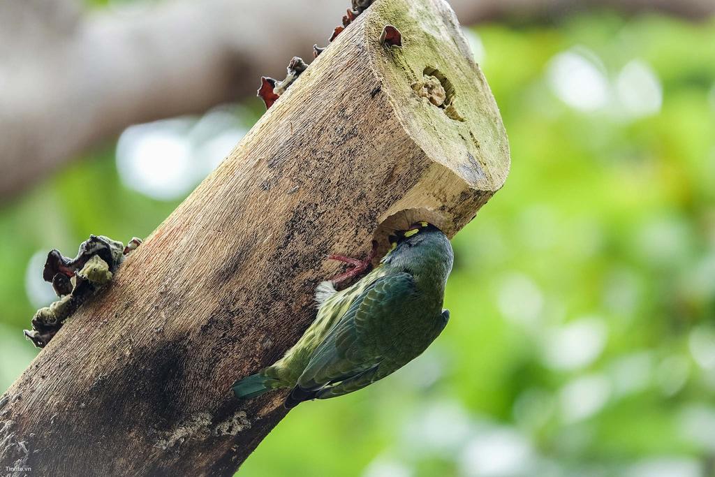 RX10M3-ChupchimTinhte2.jpg