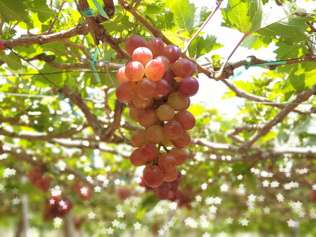 20180901_111330.jpg