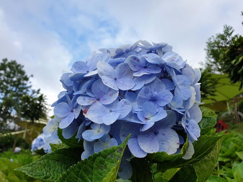 20180909_153332.jpg