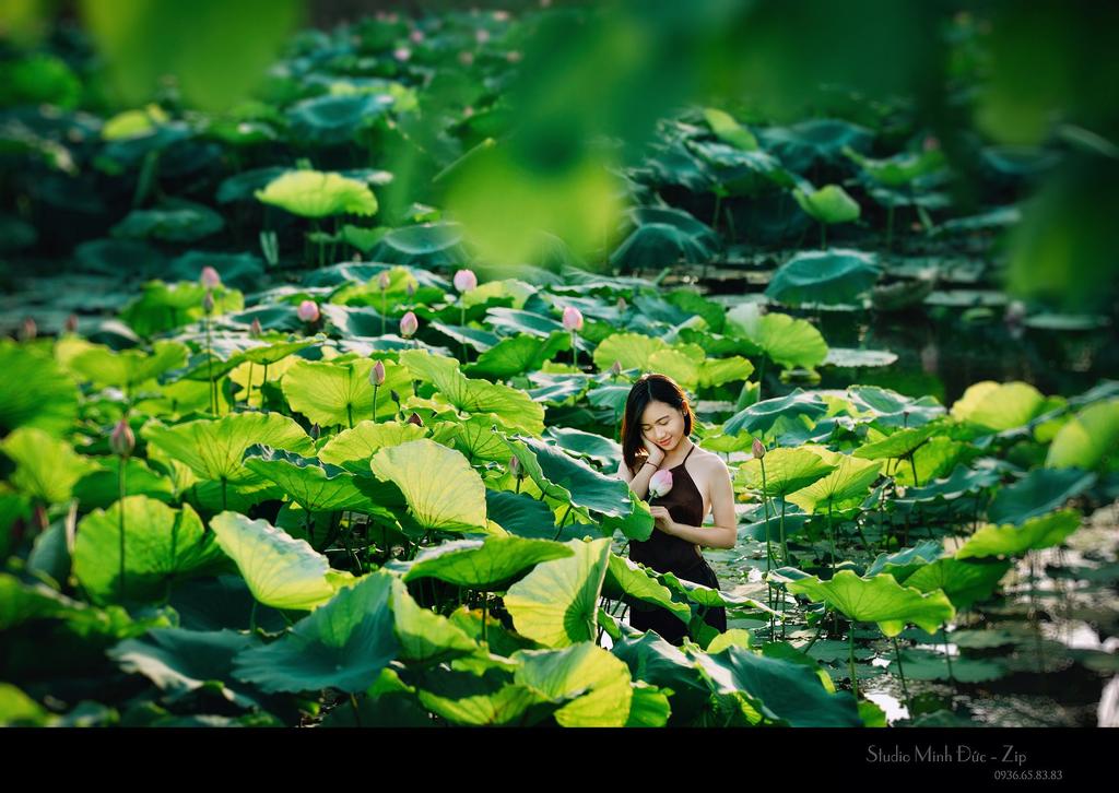 Ảnh_Duc Ngoc Do.jpg