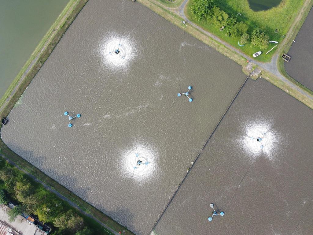 DJI_0006.jpg