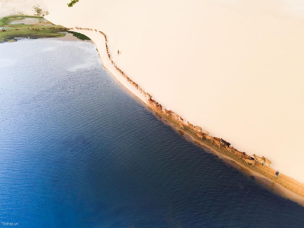 DJI_0141.jpg