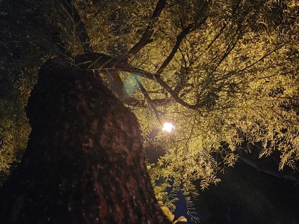IMG20200102115520.jpg