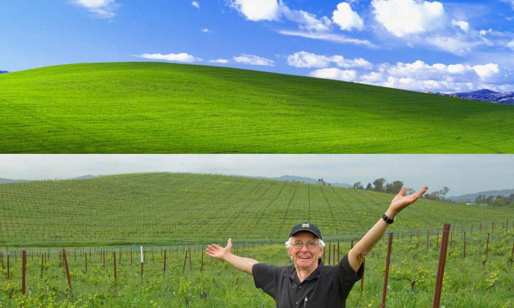 Bliss.jpg
